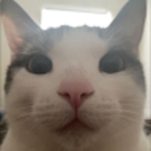 Meet your Posher, Joshua